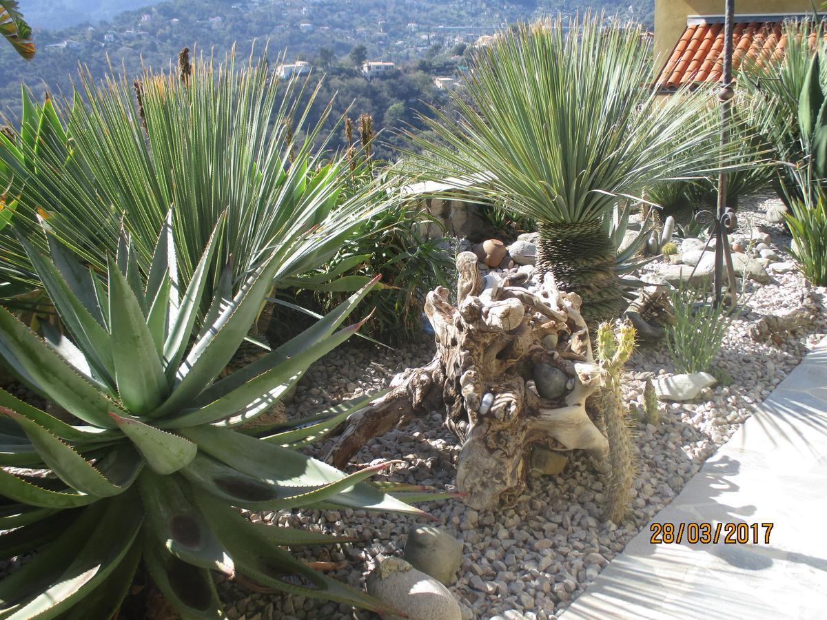 Les Mimosas Bed & Breakfast Menton Exterior photo